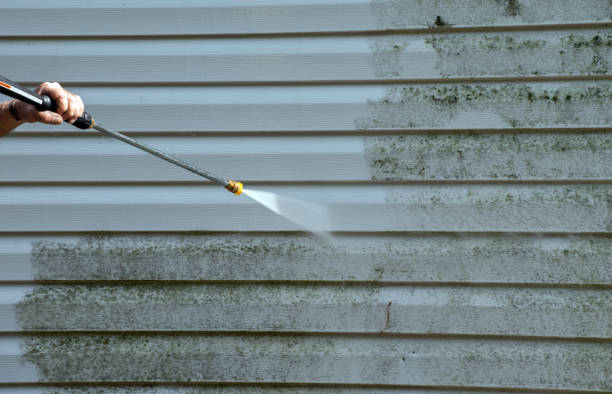 Best Gutter Cleaning  in Jasper, TX